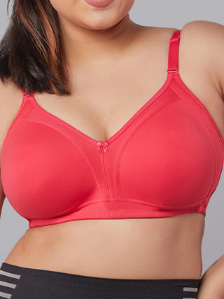 Soft & Airy Seamless Padded Bra | M 5504 Pack of 2