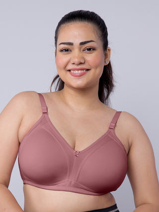 M Frame Seamless Padded Bra | M 5504 Pack of 2
