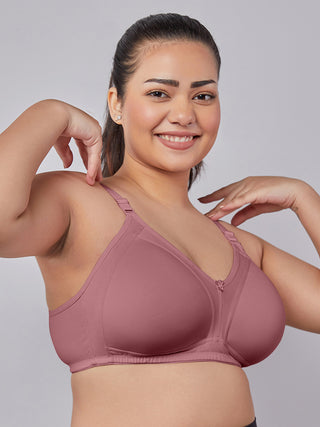 M Frame Seamless Padded Bra | M 5504 Pack of 2