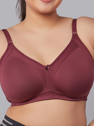 Soft & Airy Seamless Padded Bra | M 5504 Pack of 2