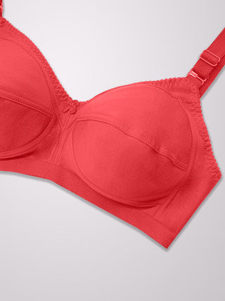 M Frame Shaping Daily Wear Bra | M 307 Pack of 2 | WHITE CORAL