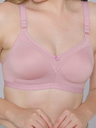 Seamless Perfection Wider Straps Daily Wear Bra | M 3307 | Pack of 2