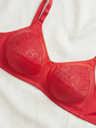 Full Coverage Lace Bra | M 3308 Pack of 2