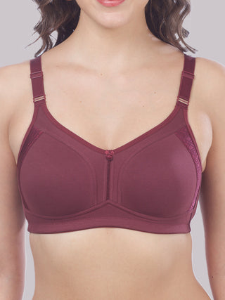 M Frame Plus Size Bra with Delicate Lace | M 4414 Pack of 2