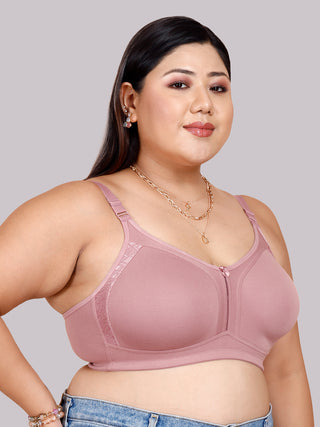M Frame Plus Size Bra with Delicate Lace | M 4414 Pack of 2 | FAWN WOOD ROSE