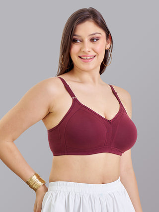 M Frame Padded Minimizer Bra | M 5504 | Pack of 2