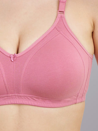 M Frame Padded Minimizer Bra | M 5504 | Pack of 2