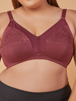 Lace Paneling M Frame Bra Close view Wine